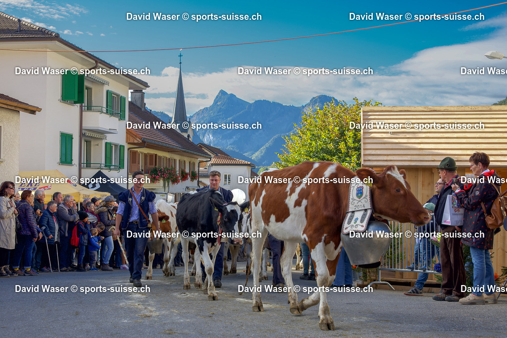 Foire et d_salpe d_Albeuve avec le troupeau de Ayer Serge et Yvan de Le Cr_t de La Tour-de-Tr_me au Bry le 04.10.25 Photos David Waser sur _ www.sports-suisse.ch _ (25) | Foire et désalpe d’Albeuve avec le troupeau de Ayer Serge et Yvan de Le Crêt de La Tour-de-Trême au Bry le 04.10.25 Photos David Waser sur " www.sports-suisse.ch "