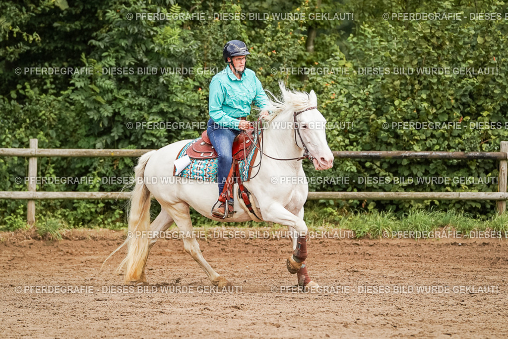 DSC06902 | Pferdegrafie