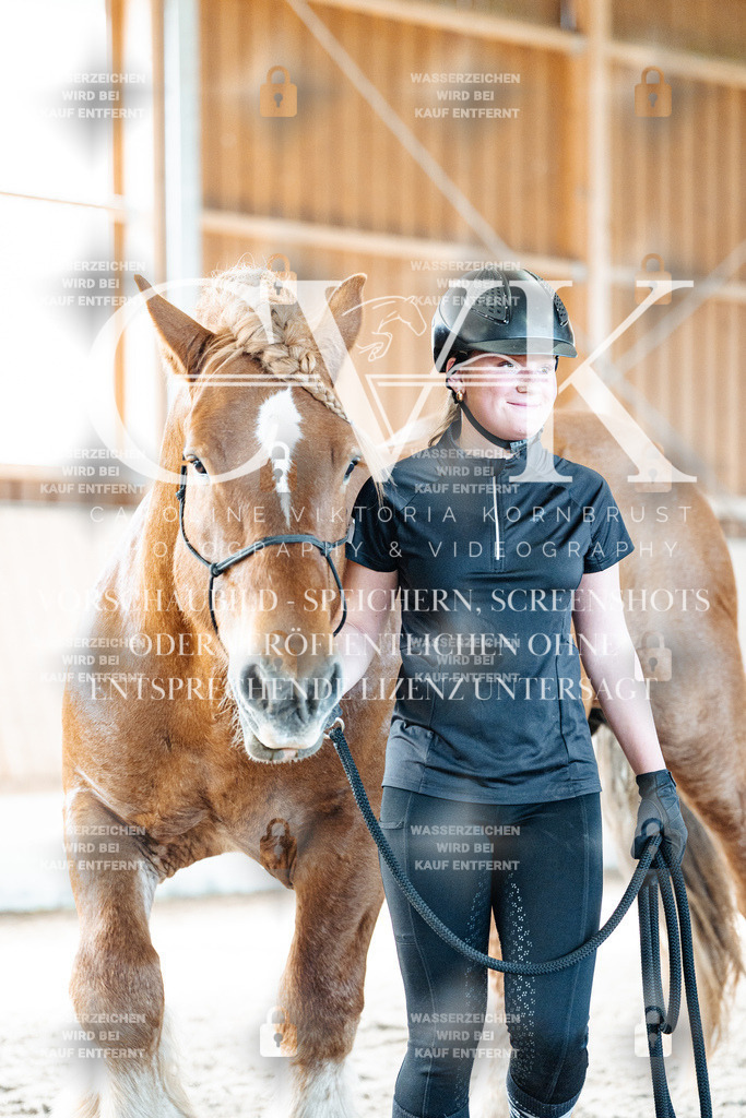 CK906391 | Turnierfotografie Pferdefotografie Trier Rheinland-Pfalz Pferdesport Reitsport Tierfotografie Sportfotografie Pferdevideo Pferdevideografie Equestrianvideography equestrianphotography  - Realisiert mit Pictrs.com