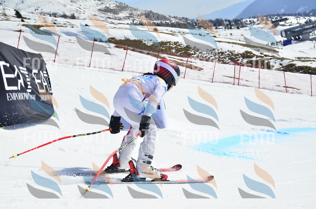 _ELE0642 | holidayphoto