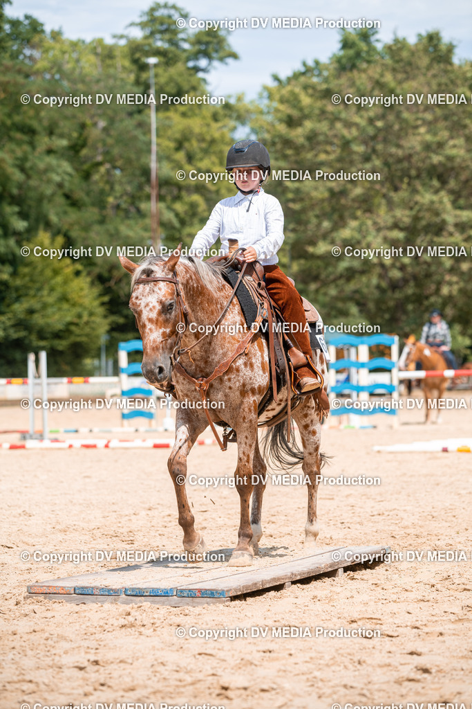 ZS2_8208 | dv-media-shop - Realisiert mit Pictrs.com