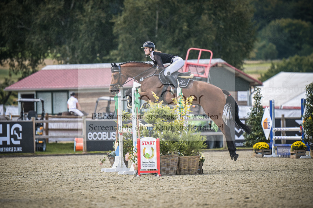 DOS_6408 | Entdecke hochwertige Reitturnierfotos von Foto Oger. Professionell, emotional und authentisch – jetzt Lieblingsmomente im Shop bestellen.Deutschlandweite Turnierfotografie. - Realisiert mit Pictrs.com