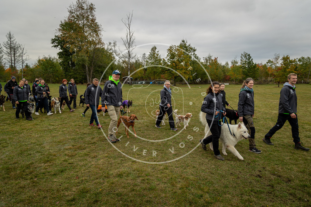 Pfotenfotografie_0L8A0218 | Hundefotografie, Tierfotograf, Pfotenfotografie, Fotoshooting Hund, Hunde Portrait, Hundesport, Hundeportraits, Heideshooting, Hunde, Sportfotograf, Hundefotograf, Turnierhundsport, THS,  - Realisiert mit Pictrs.com