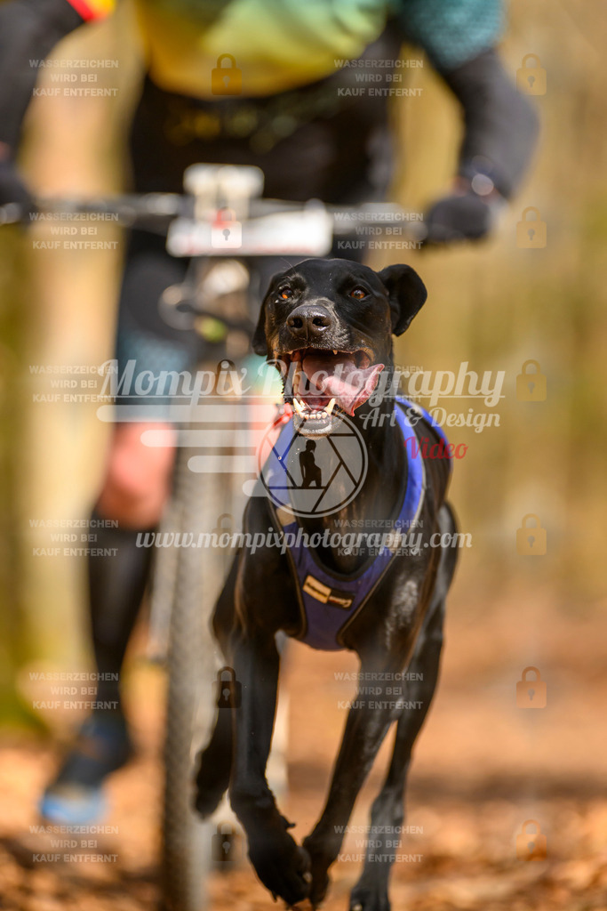 MompixPhotography_Habay2025_SA_SCO-19 | PayLife