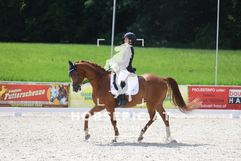 0P6A1506 | Willkommen bei Brunnmayr - Design & Fotografie – Ihrem Spezialisten für Reitturniere und Pferdeveranstaltungen in Oberösterreich, Salzburg und Bayern! Seit über 17 Jahren sind wir leidenschaftlich dabei.