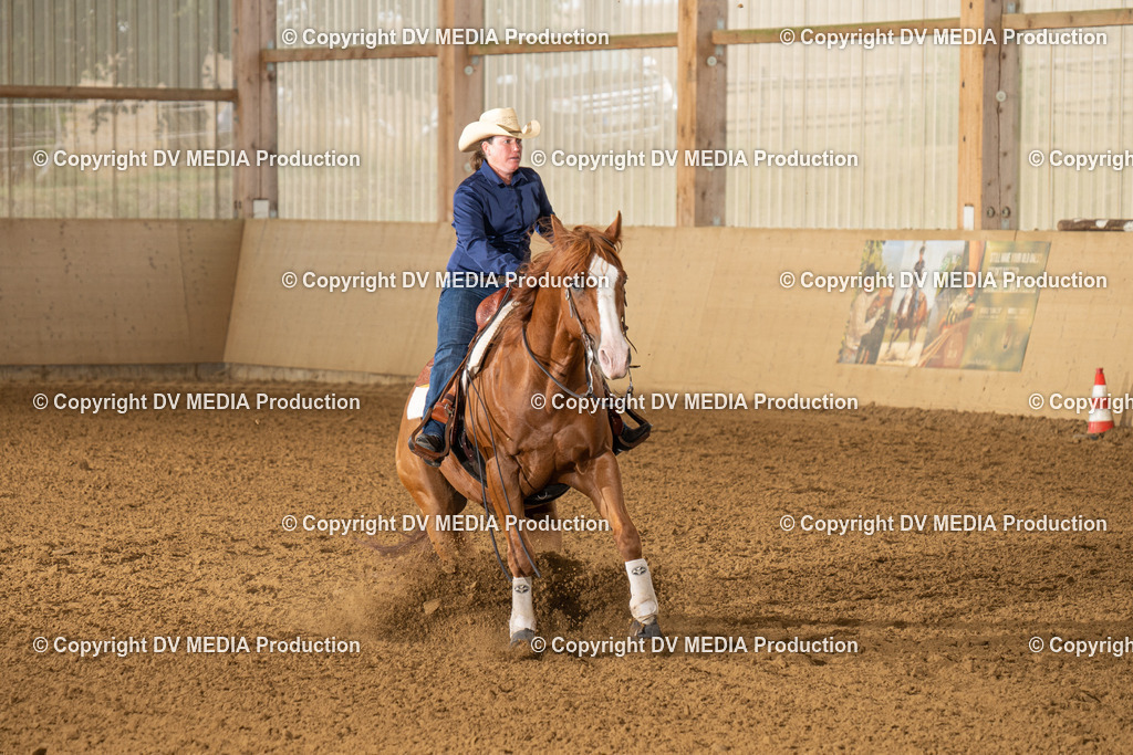 LAU00889 | dv-media-shop - Realisiert mit Pictrs.com