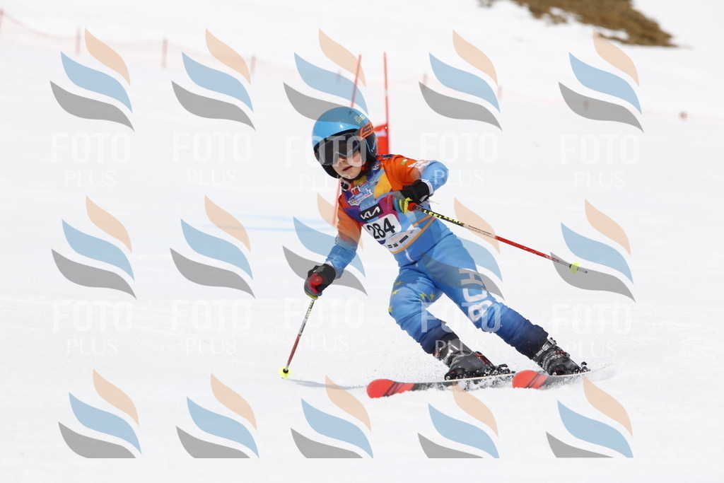 _U3G7119 | holidayphoto