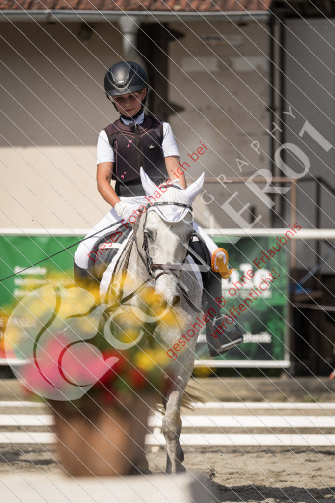 IMG_5205 | Sport-, Event- und Tierfotos in Profiqualität. Einfach auswählen, bestellen und herunterladen. Dein Moment – perfekt festgehalten.