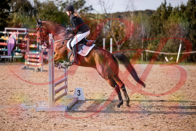2026_10_03_Siefer-Hof_161028_Z81_89933059 | Professionelle Reitsport-, Turnier- und Eventfotografie von Robert Broda. Galerien mit ausgewählten und bearbeiteten Bildern direkt online ansehen und bestellen.