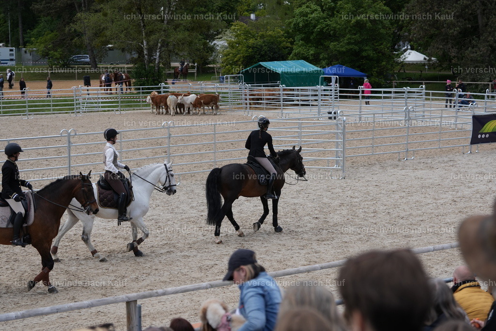 PI26_GesamtCOW_JansPictures_7C_00339.JPG | working equitationturnier fotograf videograf stoibphotography marixx film working equitation deutschland reitsport turnierfotografie eventfotografie equestrian events