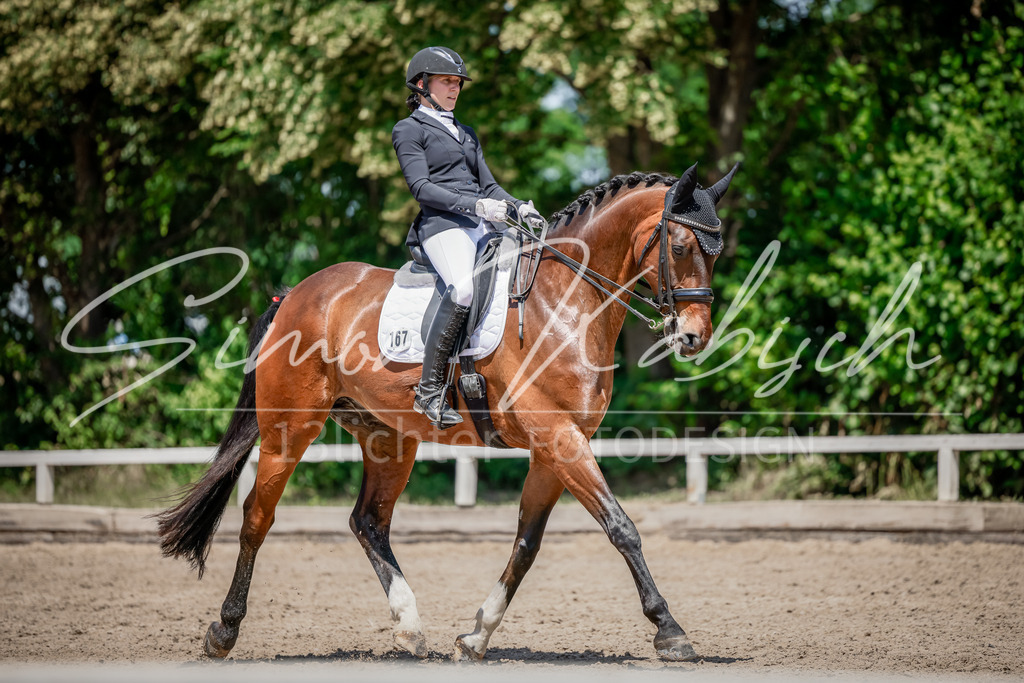 20250621-_3LI8268 | Tierfotografie Pferde, Hunde, Katzen, Haustiere.
Turnierfotografie Reitturniere, Reiten, Springreiten, Dressur in Hanau, dem Main-Kinzig-Kreis und dem Rhein-Main- Gebiet um Frankfurt