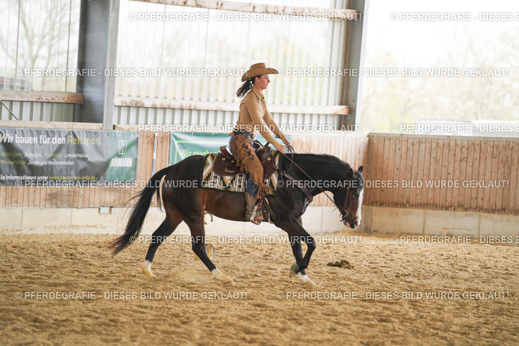 DSC05841 | Pferdegrafie