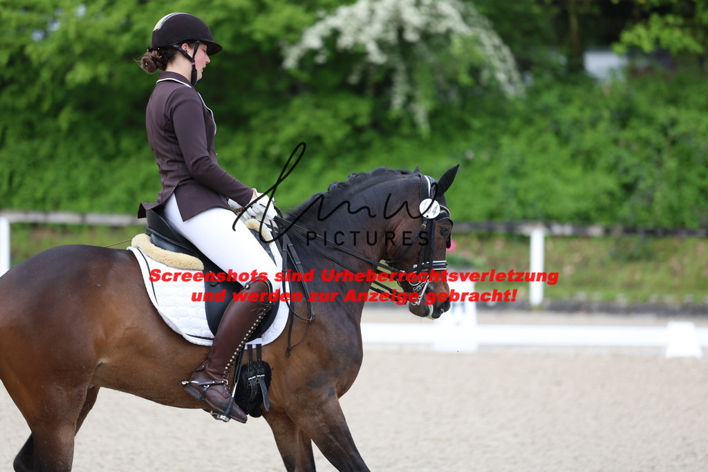 A40A9973 | lmwpictures - Realisiert mit Pictrs.com