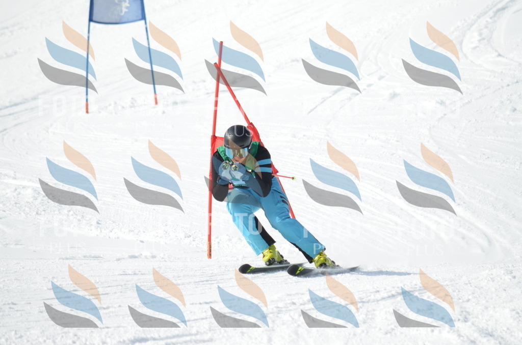 D9214 | holidayphoto