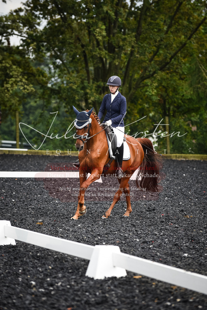 DSC_2923 | Pferde- und Turnierfotografie in Westsachsen. Pferdeportraits, Auftragszeichnungen und intuitive Kunst.