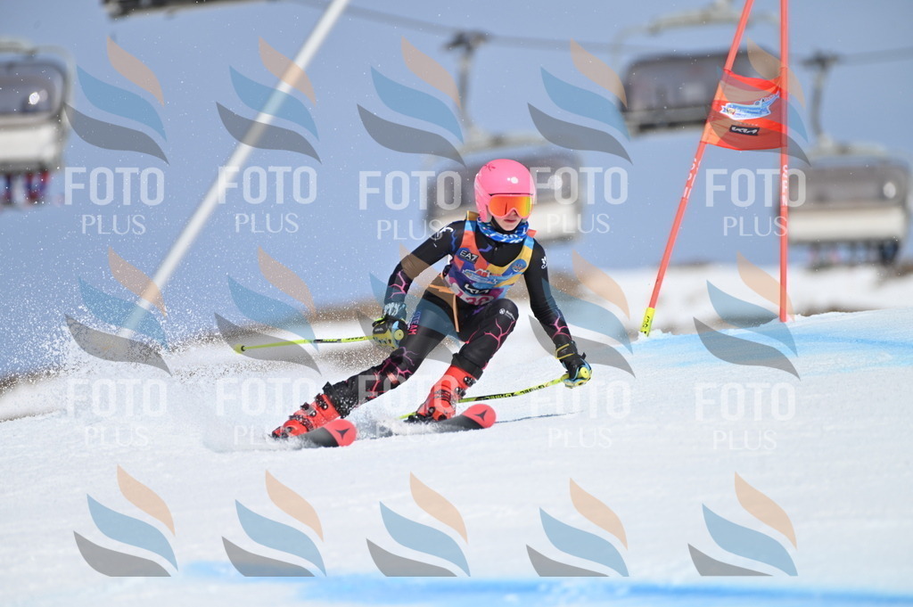 BGV_0013 | holidayphoto