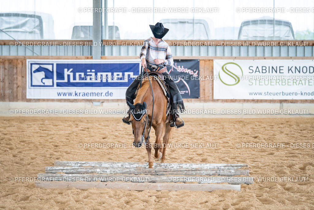 DSC03045 | Pferdegrafie