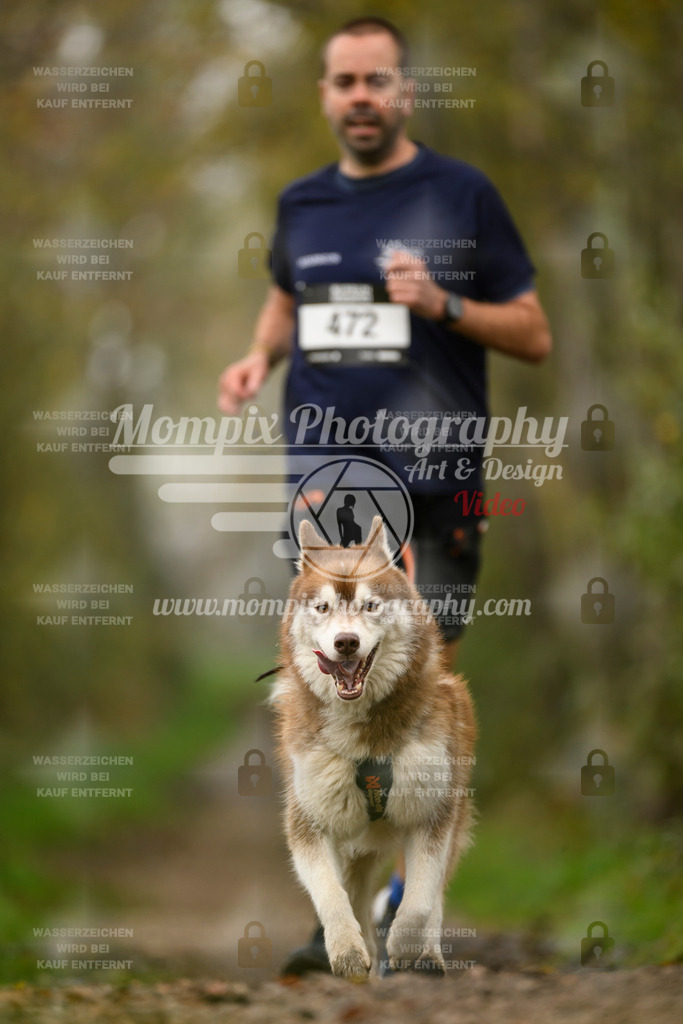 MompixPhotography_20TSB_E6_Run-110 | PayLife