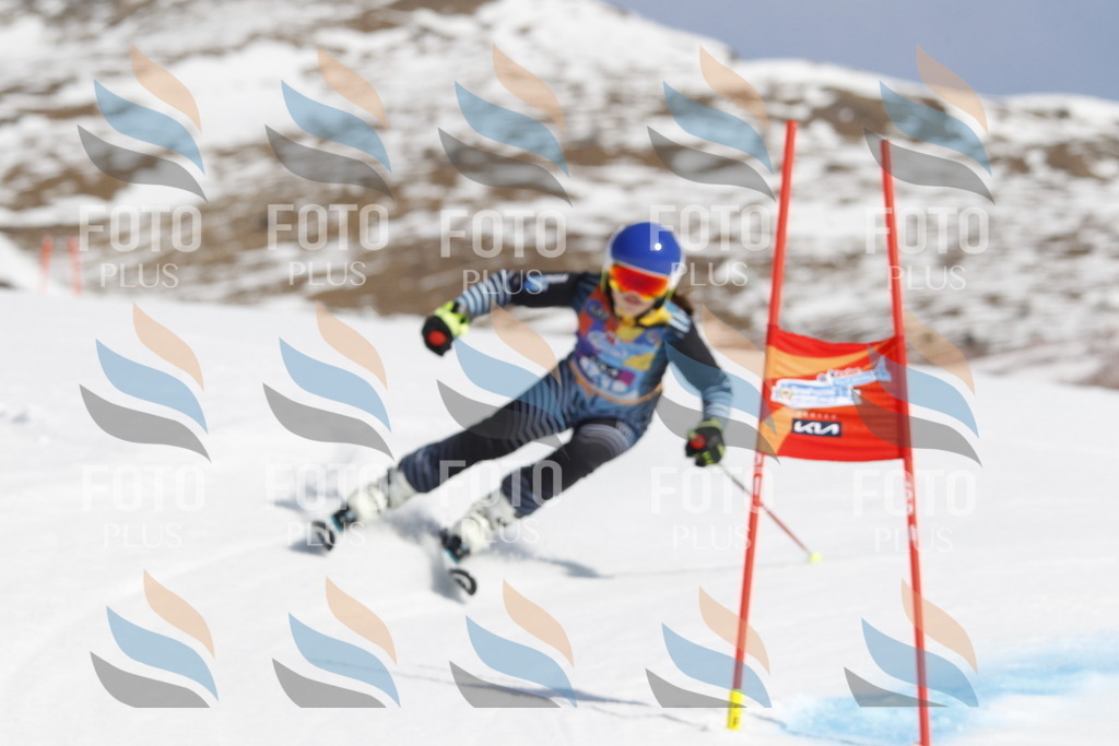 _U3G1168 | holidayphoto