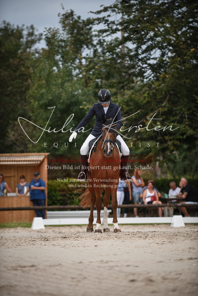 DSC_8385 | Pferde- und Turnierfotografie in Westsachsen. Pferdeportraits, Auftragszeichnungen und intuitive Kunst.
