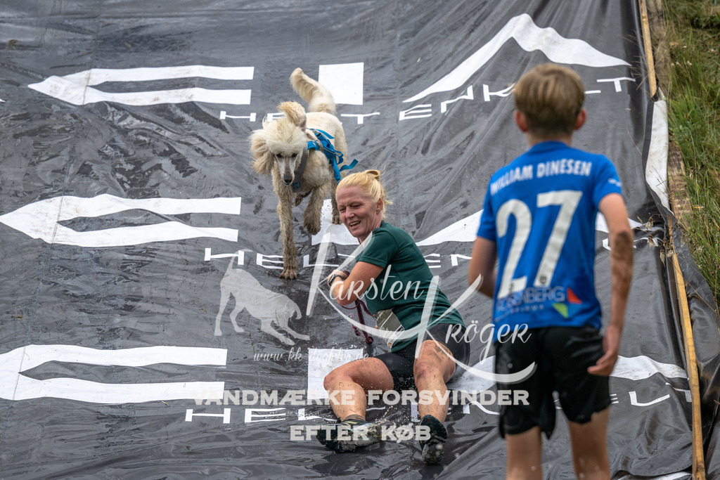 1339_ZZ92772 | kk-dogfotos