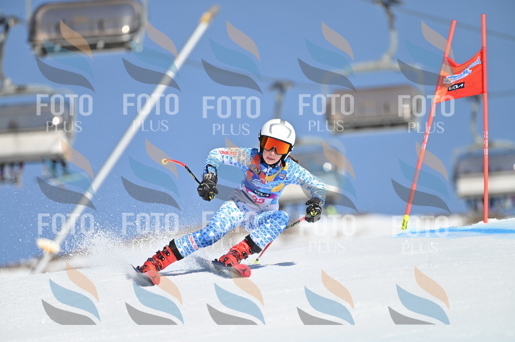 BGV_8193 | holidayphoto