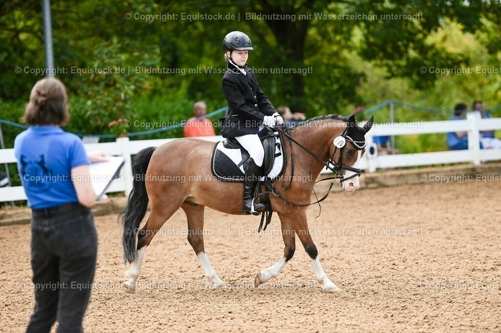 20230716_10-2_Reiter-WB Schritt - Trab - Galopp_0129 | equistock