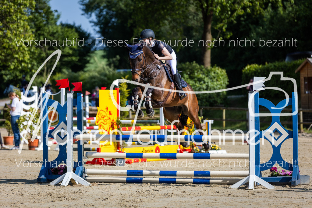 Donop24-ASpr-028 | MomenTaufnahmen Pferdesportfotos