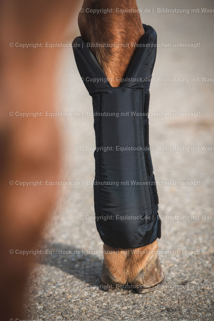 20191030_Wärmegamaschen_0010 | equistock