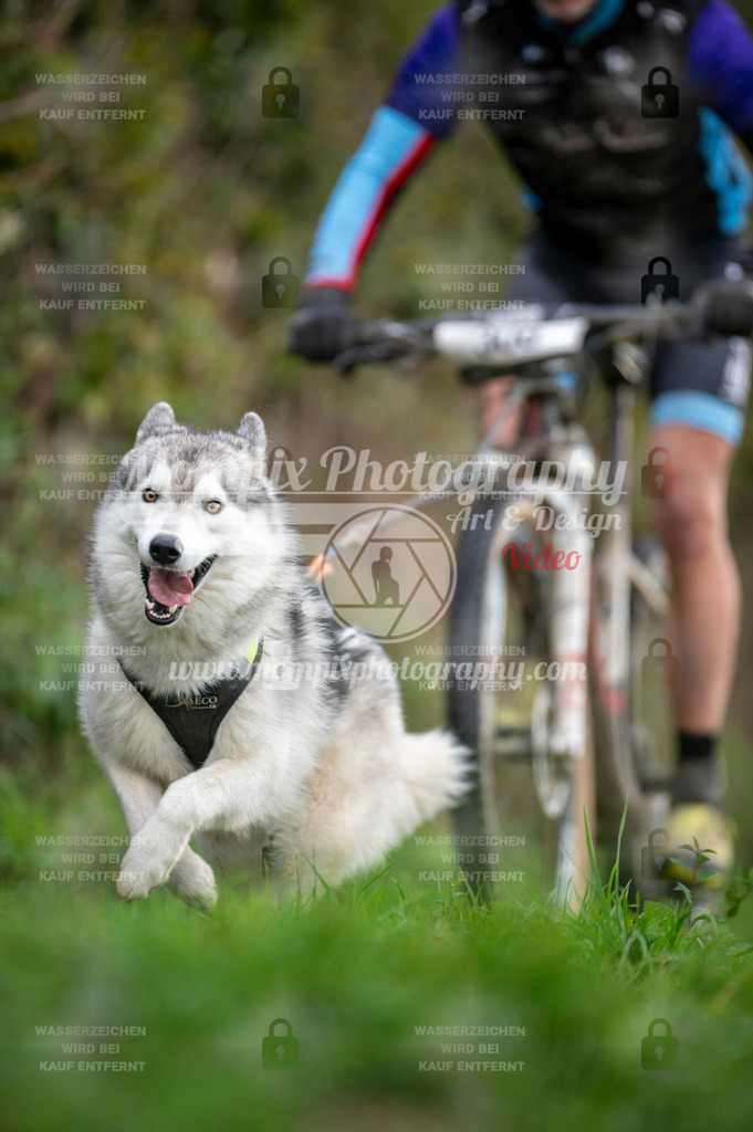 TSB_2023_E8_Bike-73 | PayLife