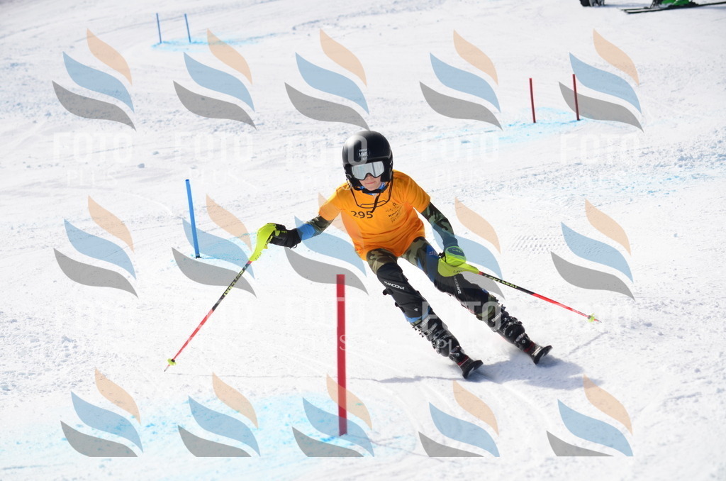 C8722 | holidayphoto