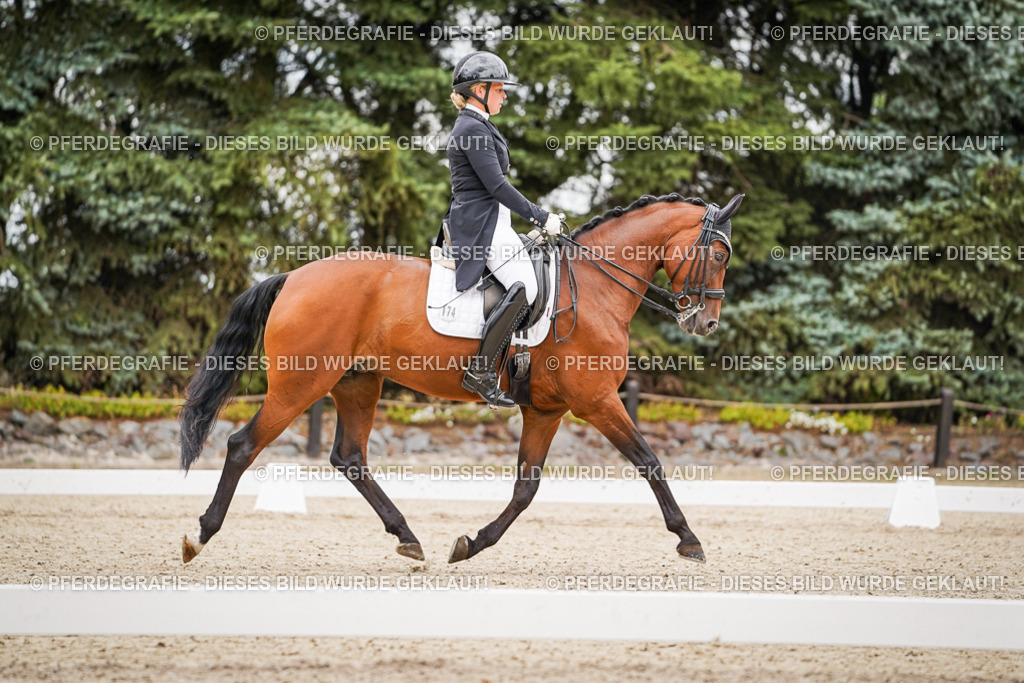 DSC07190 | Pferdegrafie