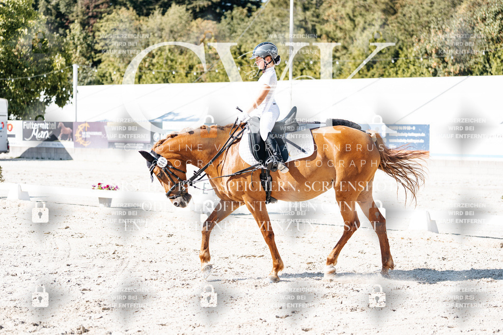 CK903331 | Turnierfotografie Pferdefotografie Trier Rheinland-Pfalz Pferdesport Reitsport Tierfotografie Sportfotografie Pferdevideo Pferdevideografie Equestrianvideography equestrianphotography  - Realisiert mit Pictrs.com
