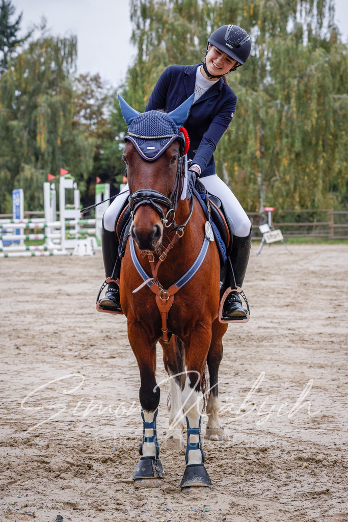20251012-_3LI3517 | Tierfotografie Pferde, Hunde, Katzen, Haustiere.
Turnierfotografie Reitturniere, Reiten, Springreiten, Dressur in Hanau, dem Main-Kinzig-Kreis und dem Rhein-Main- Gebiet um Frankfurt