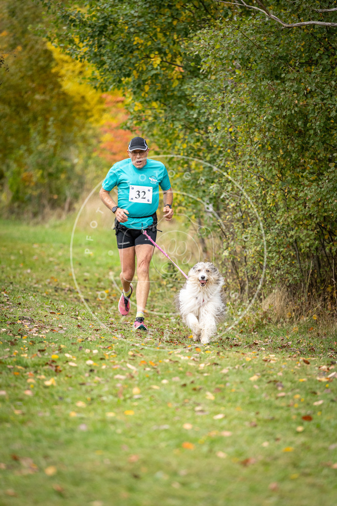Pfotenfotografie_DV3A2180 | Hundefotografie, Tierfotograf, Pfotenfotografie, Fotoshooting Hund, Hunde Portrait, Hundesport, Hundeportraits, Heideshooting, Hunde, Sportfotograf, Hundefotograf, Turnierhundsport, THS,  - Realisiert mit Pictrs.com