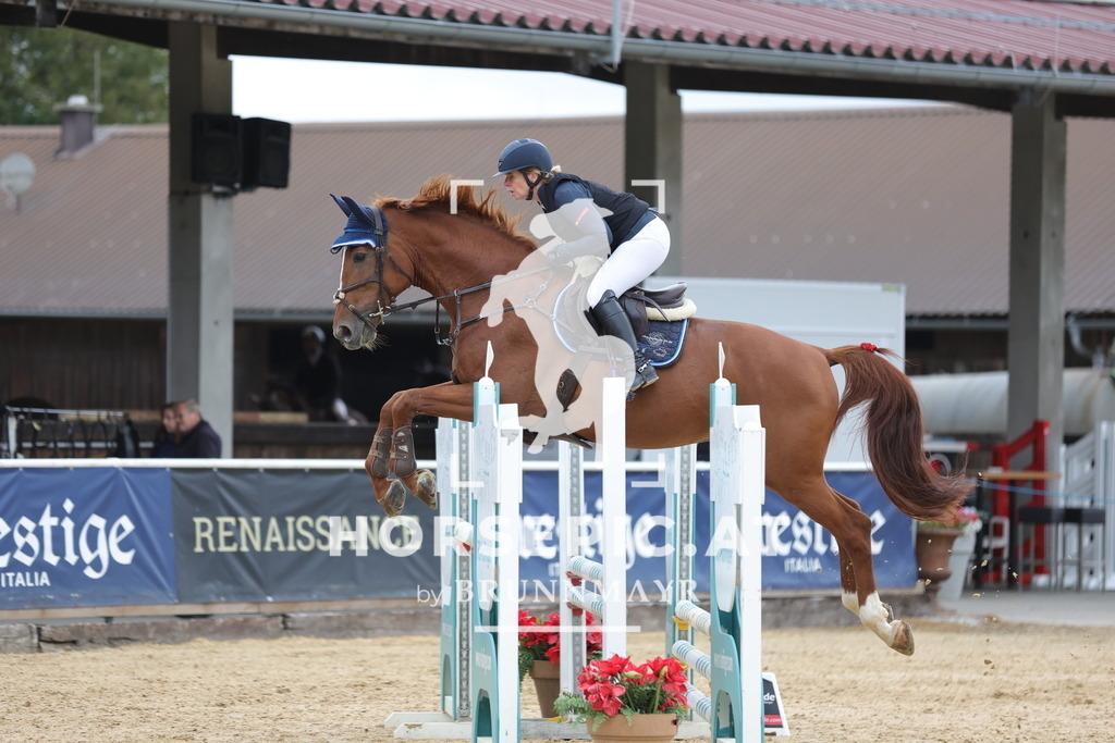 0P6A7129 | Willkommen bei Brunnmayr - Design & Fotografie – Ihrem Spezialisten für Reitturniere und Pferdeveranstaltungen in Oberösterreich, Salzburg und Bayern! Seit über 17 Jahren sind wir leidenschaftlich dabei.
