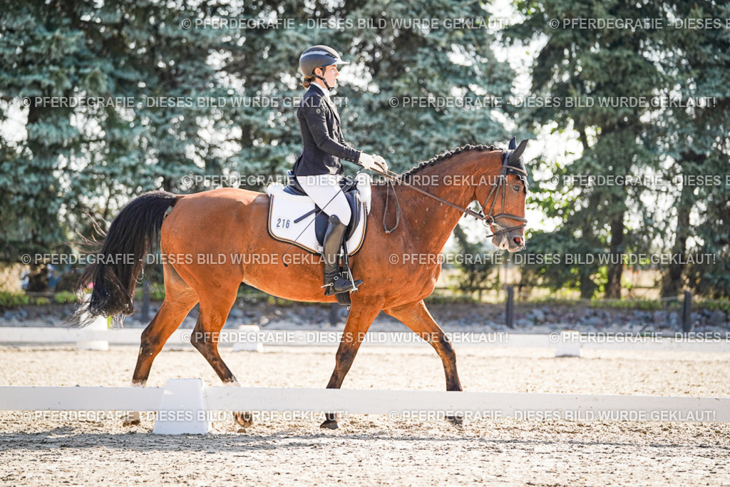 DSC09678 | Pferdegrafie