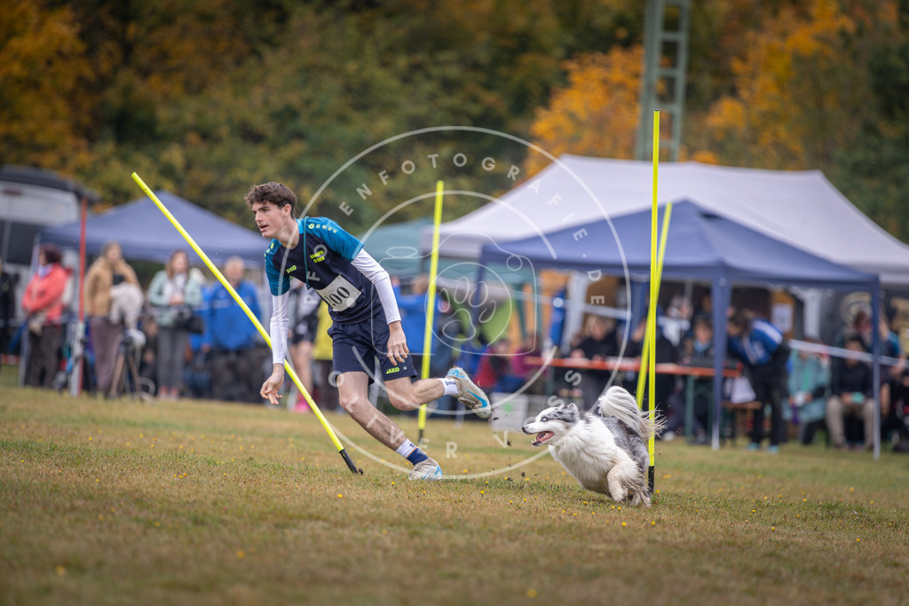 Pfotenfotografie_DV3A1226 | Hundefotografie, Tierfotograf, Pfotenfotografie, Fotoshooting Hund, Hunde Portrait, Hundesport, Hundeportraits, Heideshooting, Hunde, Sportfotograf, Hundefotograf, Turnierhundsport, THS,  - Realisiert mit Pictrs.com