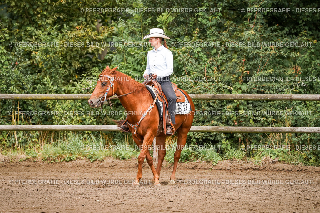 DSC06689 | Pferdegrafie