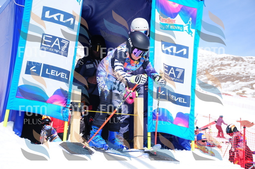 DSC_7089 | holidayphoto