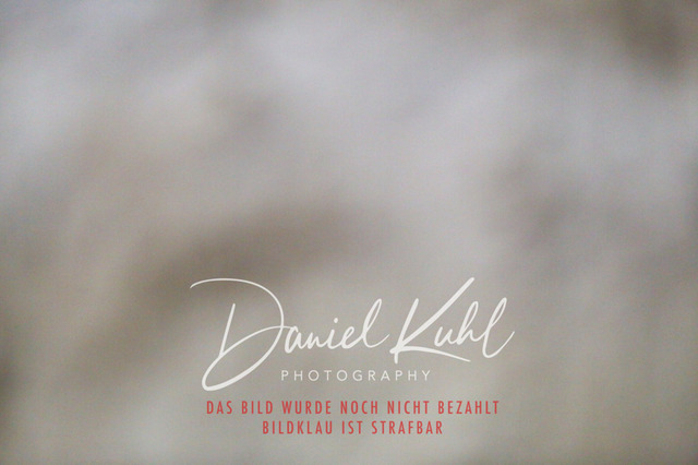 IMG_1387 | Turniersportfotografie; Pferdefotografie; Dressurfotografie