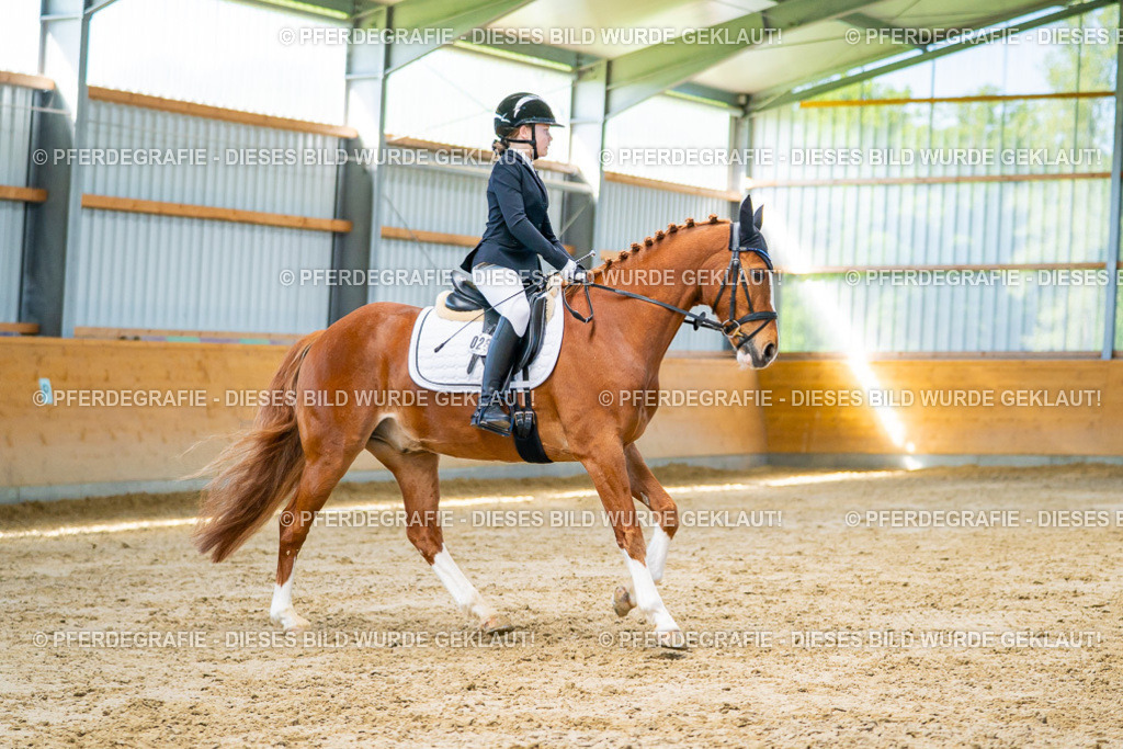 DSC06857 | Pferdegrafie