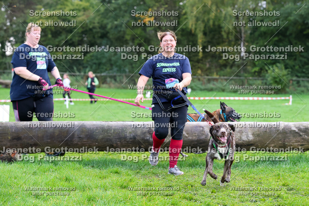 Dog Paparazzi -  SD1026-2066 | Dog Paparazzi Jeanette Grottendiek Fotografie & Videografie - Realisiert mit Pictrs.com
