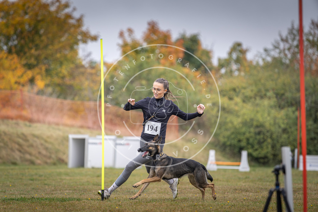 Pfotenfotografie_DV3A0966 | Hundefotografie, Tierfotograf, Pfotenfotografie, Fotoshooting Hund, Hunde Portrait, Hundesport, Hundeportraits, Heideshooting, Hunde, Sportfotograf, Hundefotograf, Turnierhundsport, THS,  - Realisiert mit Pictrs.com