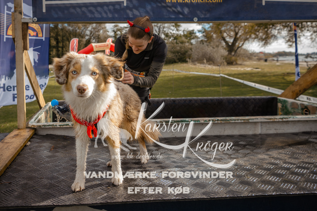 1335_ZZ91518-2 | kk-dogfotos