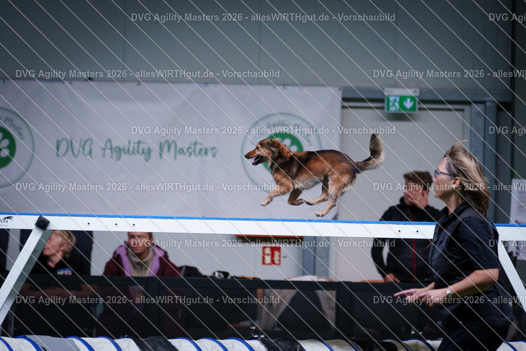 allesWIRTHgut_Tierfotografie-DVG_Agility_Masters_2026-13_32-7R503460 | Professionelle Tierfotografie in Mönchengladbach von Daniel Wirth (allesWIRTHgut). Liebevolle & natürliche Bilder von Hunden & Katzen für unvergessliche Erinnerungen.
