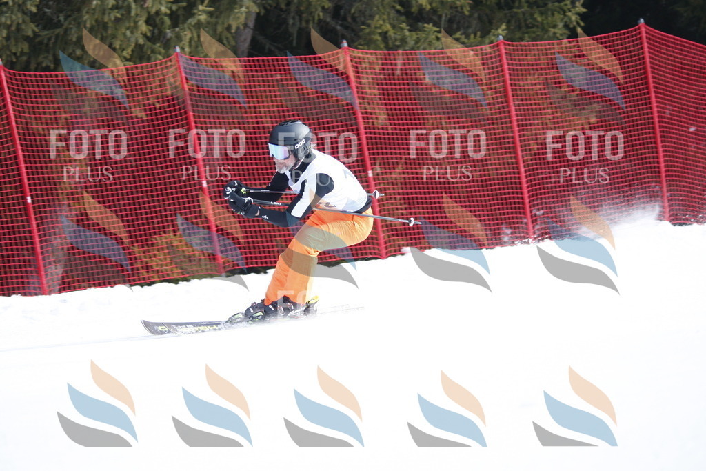 D6399 | holidayphoto