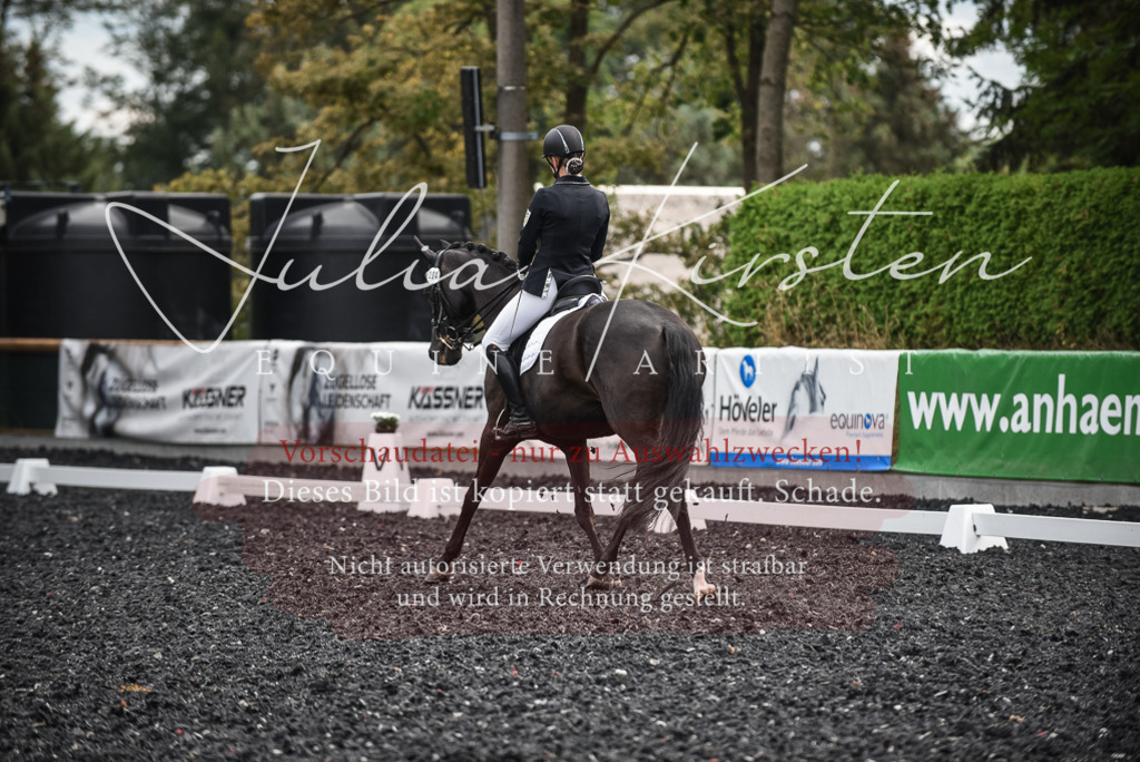 DSC_5068 | Pferde- und Turnierfotografie in Westsachsen. Pferdeportraits, Auftragszeichnungen und intuitive Kunst.