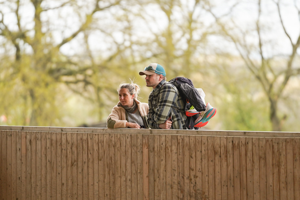 DSC09100 | Pferdegrafie