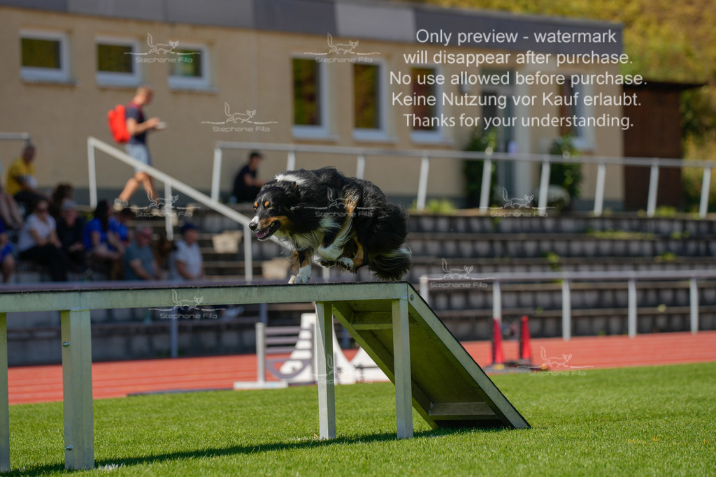 Sonntag_VK Hindernis (407 von 671) | stephaniefillaphotographie - Realisiert mit Pictrs.com